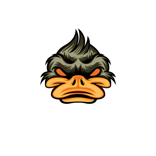 FideFidex Game Studio